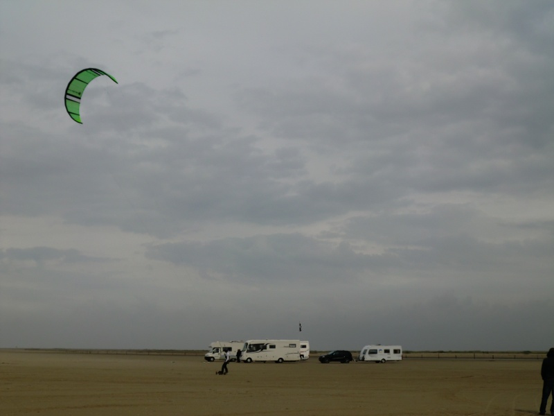 2011daenemark008.jpg