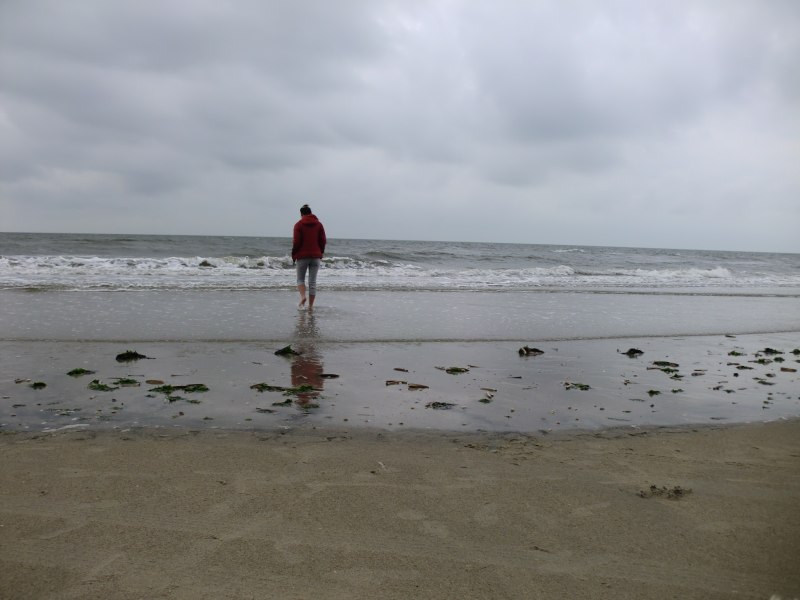 2011daenemark018.jpg