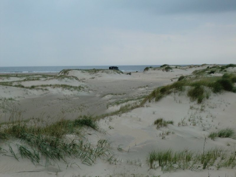 2011daenemark030.jpg