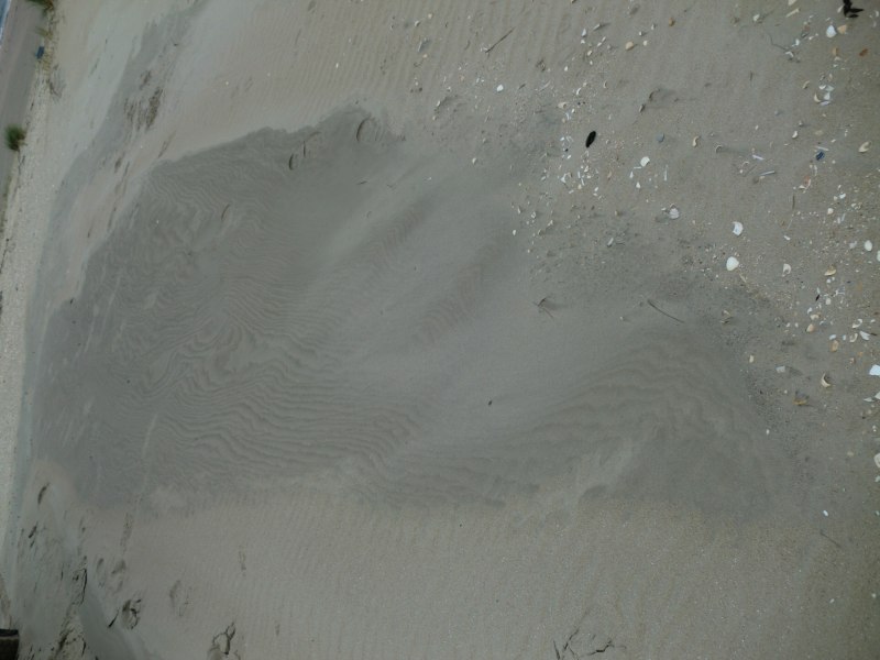 2011daenemark034.jpg