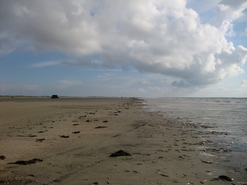 2011daenemark067.jpg