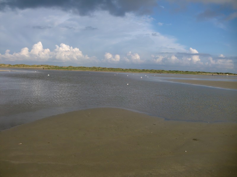 2011daenemark068.jpg
