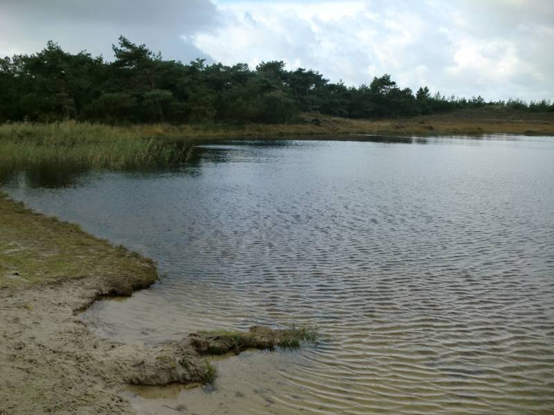 2011daenemark084.jpg
