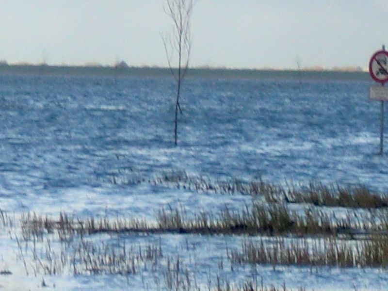 2011daenemark108.jpg