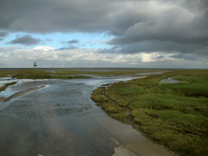 2011daenemark110.jpg