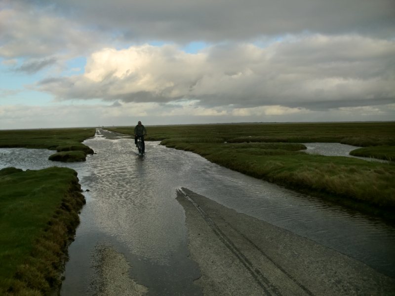 2011daenemark111.jpg