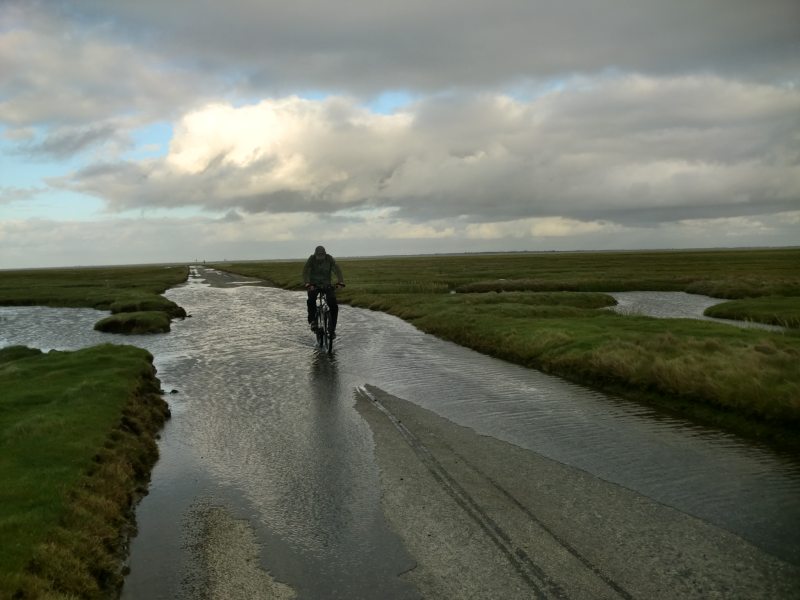 2011daenemark112.jpg