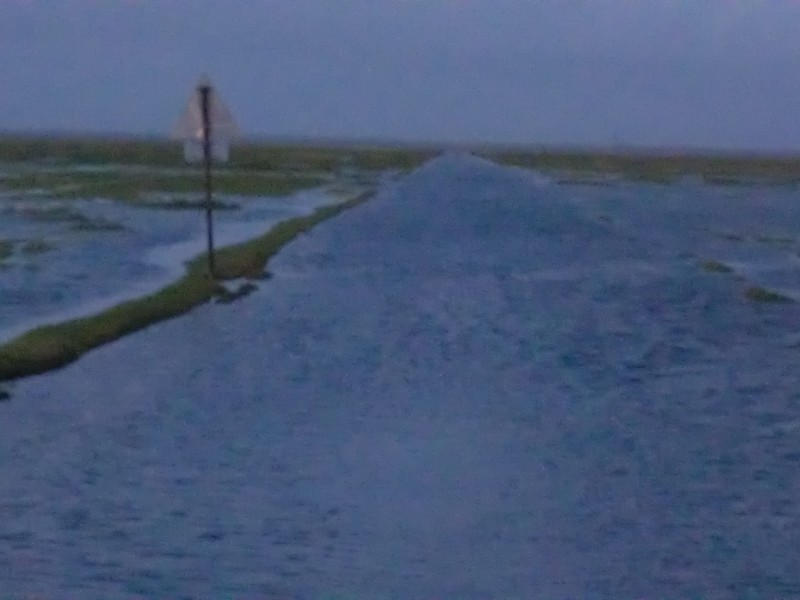 2011daenemark121.jpg