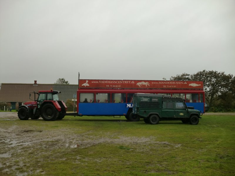 2011daenemark125.jpg