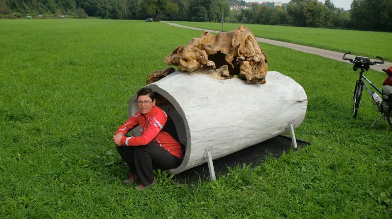rostr120.jpg